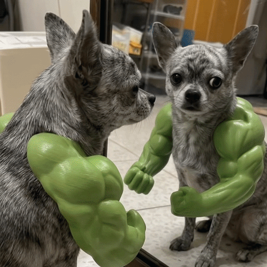 Buff Dog Arms