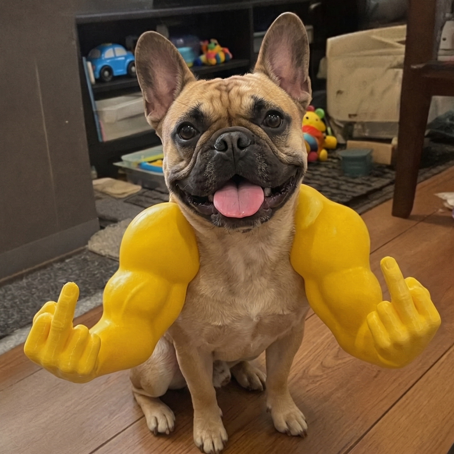 Buff Dog Arms